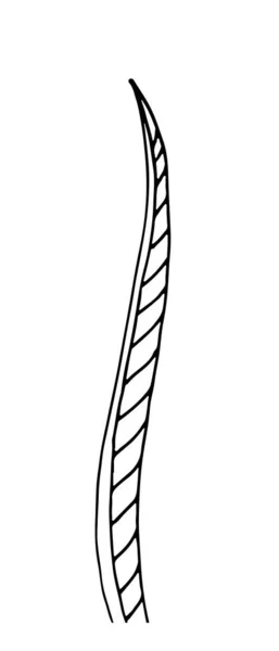 Erba. Erba vettoriale disegnata a mano in stile scarabocchio — Vettoriale Stock
