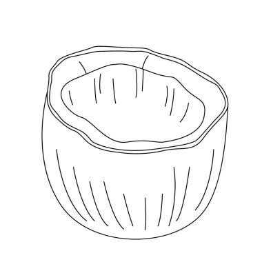 Hindistan cevizi yarım çizgi sanatı. Özet geç. Vektör, illüstrasyon, izole