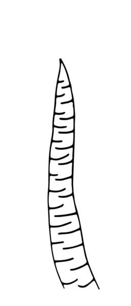 Βότανο. Χειροποίητο διανυσματικό βότανο σε στυλ doodle περίγραμμα — Διανυσματικό Αρχείο