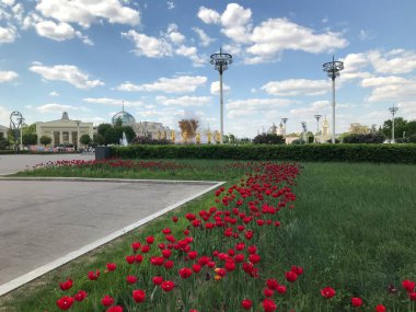 Moskova 'nın panoramik manzarası. Tarihi binalar ve uluslararası iş merkezi. 