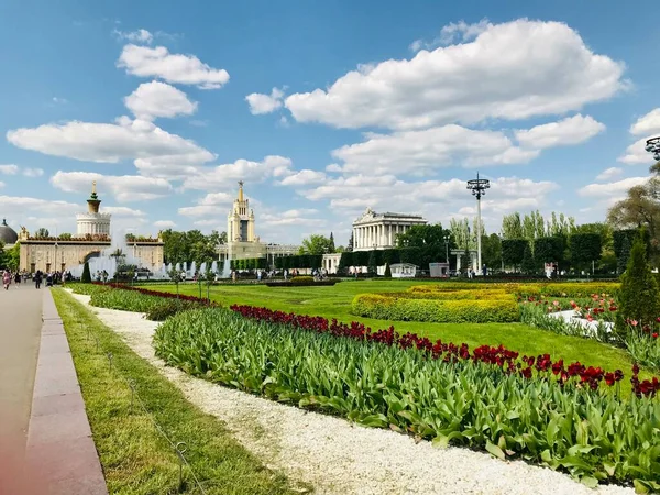 Moskova 'nın panoramik manzarası. Tarihi binalar ve uluslararası iş merkezi. 