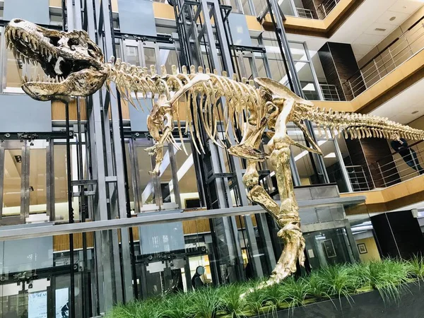 Moskova 'nın panoramik manzarası. Tarihi binalar ve uluslararası iş merkezi. 