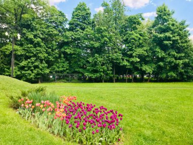 Sessiz bir eğlence için güzel doğal manzara