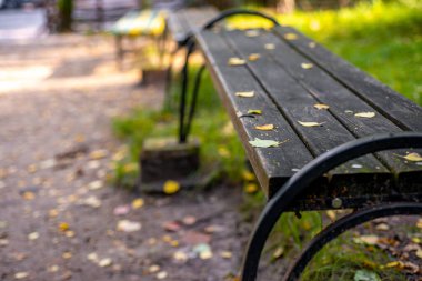 Sarı yapraklı bir sonbahar parkında bankta.