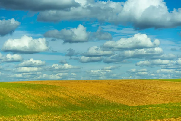 Campo Verde Amarelo Céu Azul Com Nuvens Expressivas — Fotografia de Stock