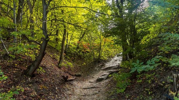 Die Malerische Herbstlandschaft Eines Wanderweges Den Bergen — Stockfoto