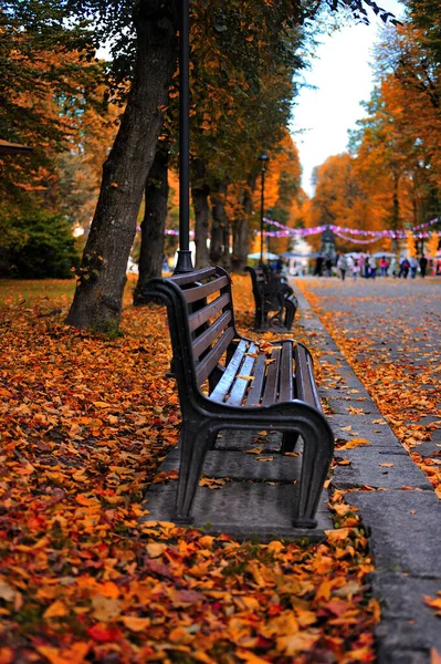 Ekim ayında parkta manzara, bir bank, yerde turuncu yapraklar ve bir yürüyüş yolu.