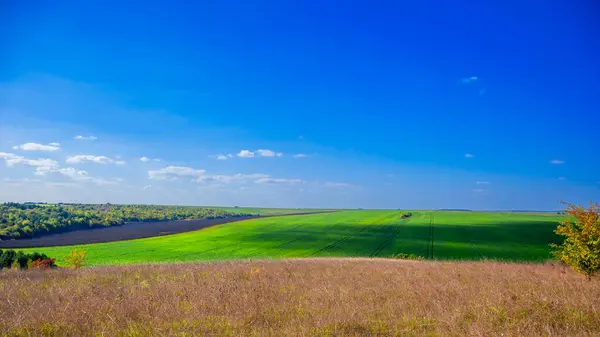 Krajobraz Zielonym Polem Błękitnym Niebem — Zdjęcie stockowe