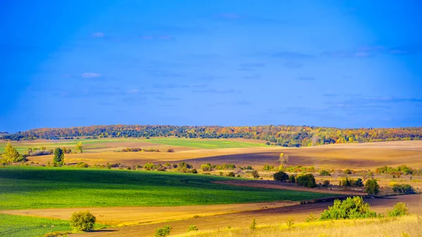 Sonbaharda gökyüzü ve bulutlarla dolu bir tepe manzarası.