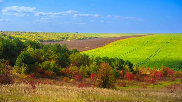 Panoramiczny Widok Jesieni Pól Obszarze Pagórkowatym — Zdjęcie stockowe
