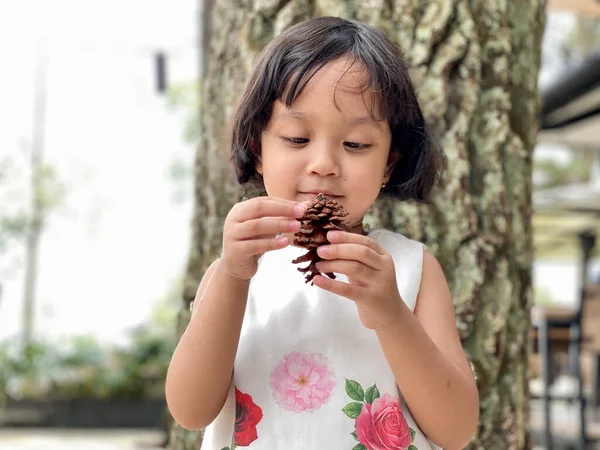 Young girl holding the pine cone