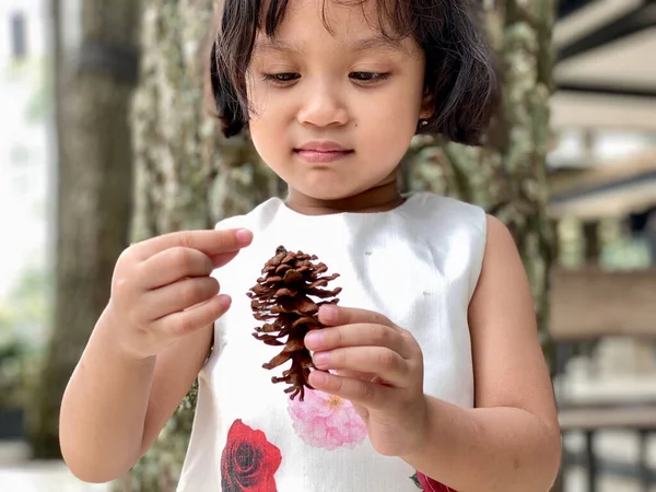 Young girl holding the pine cone