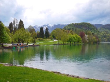 Güzel manzara Suyu Bled Gölü Slovenya 'nın Lakeside' ını yansıtıyor