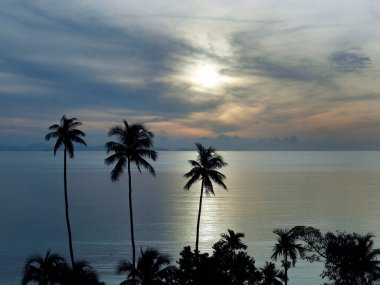 Wallpaper of peaceful sunrise sunset seascape and ocean sky with coconut silhouette foreground