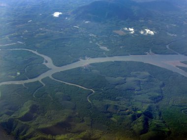 Andaman Denizi yakınlarındaki yeşil büyük mangrov ormanları üzerinde uçan hava manzarası Tayland, deniz manzarası, yeşillik, manzara