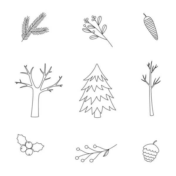 Σύνολο χριστουγεννιάτικων χειμερινών στοιχείων. Γκι, αγία, κλαδί πεύκου, έλατο και χειμερινό δέντρο. Γραμμική τέχνη. Στυλ Doodle. — Διανυσματικό Αρχείο