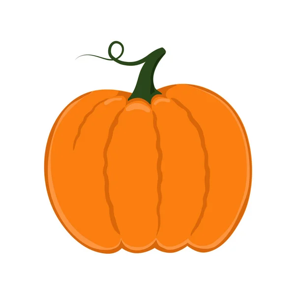 Abóbora. Ação de Graças e elemento Halloween. Modelo para design decorativo de outono. —  Vetores de Stock