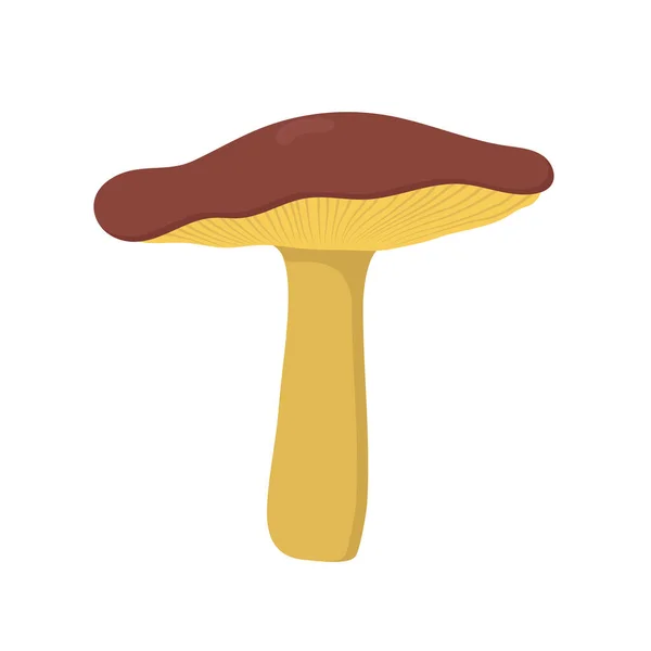 Барвисті каракулі гриби Плоский дизайн . — стоковий вектор