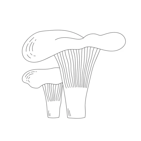 Champignons de la chanterelle d'art linéaire. Style caniche. Cantharellus, cuisine gastronomique, végétarienne. — Image vectorielle