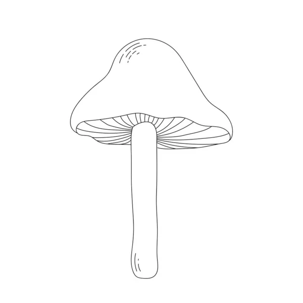 线条艺术涂鸦蘑菇。森林、秋天和收获的象征 — 图库矢量图片