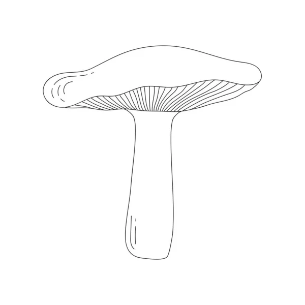 Line art doodle mushroom. — Stock Vector