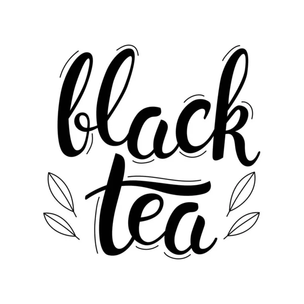 Czarna Herbata Liście Ręcznie Rysowana Kaligrafia Napis Pisaka Pędzla Ilustracja — Wektor stockowy