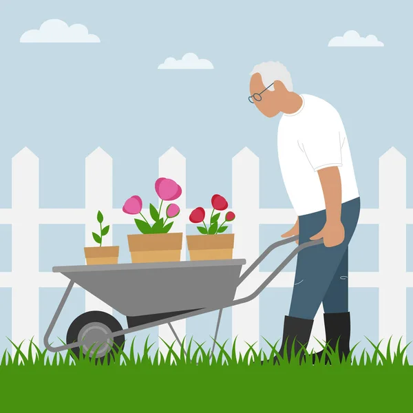 在花园里拿着手推车的老人 在花园里愉快地积极休息 栽培植物和花卉 — 图库矢量图片