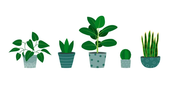 Handritade Krukväxter Blomkrukor Pothos Växt Kaktus Gummiväxt Ormväxt — Stock vektor