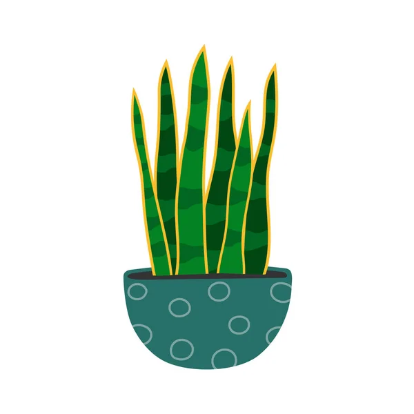 Planta Cobra Vaso Plantas Planta Sala Desenhada Mão Ilustração Vetorial — Vetor de Stock