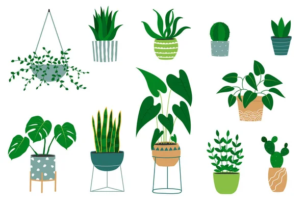 Ensemble de plantes d'intérieur dessinées à la main dans des pots de fleurs. Alocasia plante, cactus, monstère, jade plante, aloès — Image vectorielle