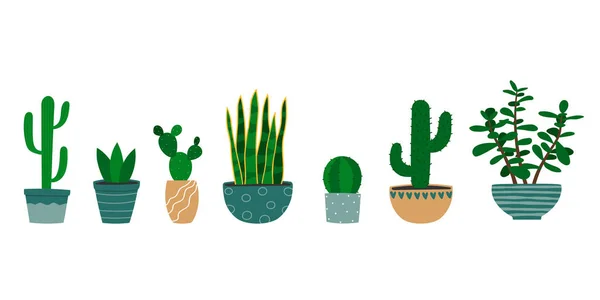 Uppsättning Olika Kaktusar Och Saftiga Växter Blomkruka Tecknad Färgglada Krukväxter — Stock vektor