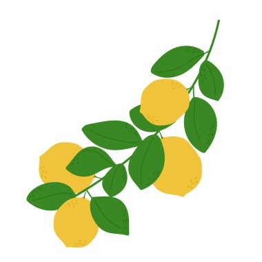 El yapımı limon dalı. Olgun meyve ve yapraklarla dolu bir bitki. İzole vektör illüstrasyonu 