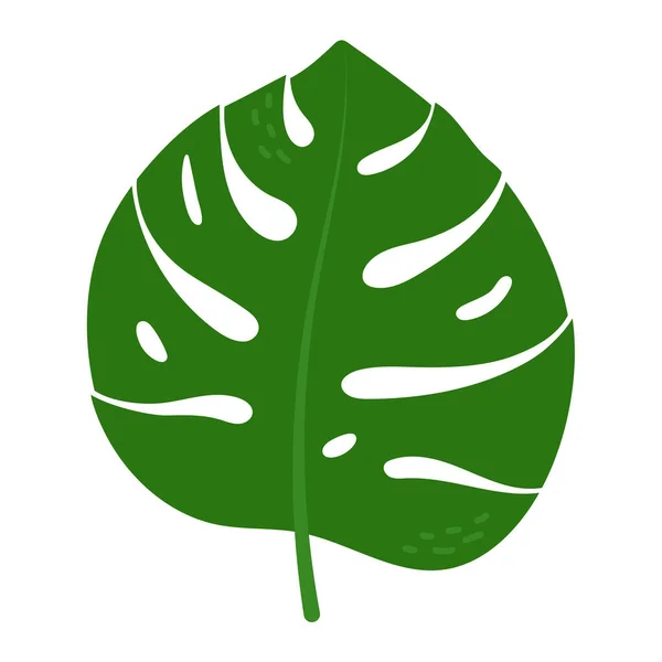 Hand Drawn Tropical Leaf Monstera Plant Isolated Vector Illustration — Vector de stock