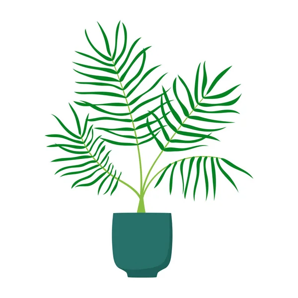 Palm Tree Flowerpot Hand Drawn Houseplant Isolated Vector Illustration — Stock Vector