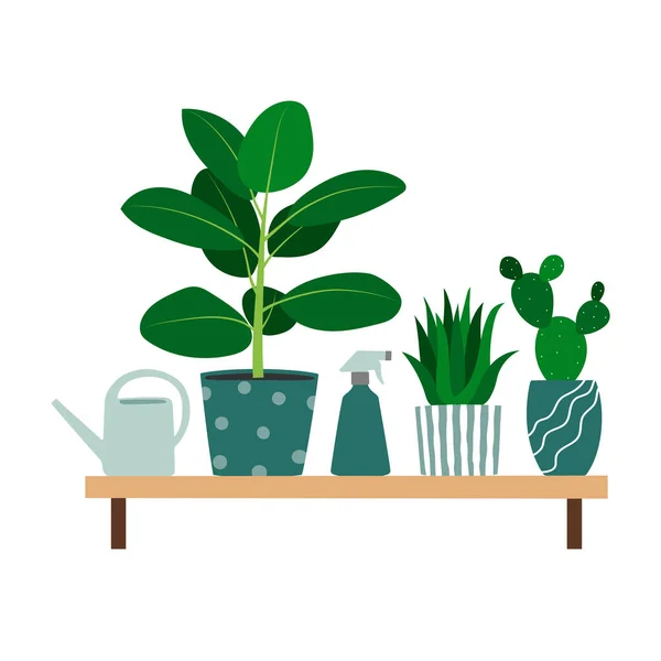 Houseplants Watering Can Plant Mister Shelf Trendy Composition Home Decorations — Stockvector