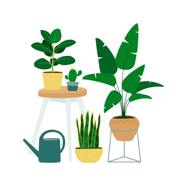 Interior Design Table Watering Can Houseplants Trendy Composition Home Decorations — Stockvector