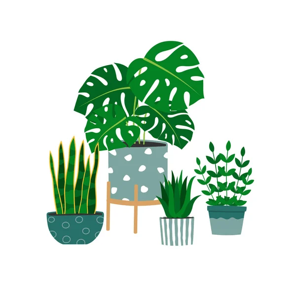 Hand Drawn Houseplants Design Trendy Composition Home Decorations Isolated Vector — Stockvektor