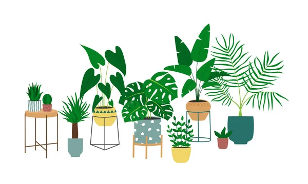 Hand Drawn Houseplants Design Trendy Composition Home Decorations Isolated Vector — Stockvektor