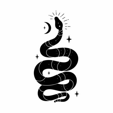 Mistik sihirli objeleri olan taşıyıcı kara yılan: Ay ve yıldızlar. Manevi okültizm sembolleri, tarot kartları, ezoterik nesneler..
