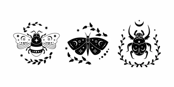 Vektor Illustration Set Von Himmlischen Schmetterling Biene Und Käfer Mit — Stockvektor