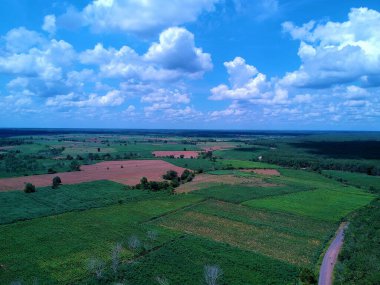 Açık gökyüzü olan tarlaların havadan görünüşü.
