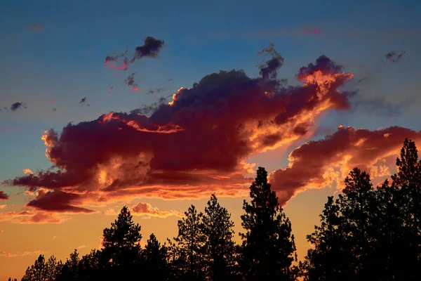 Stratocumulus Clouds Beautifully Lit Setting Sun — Stock Photo, Image