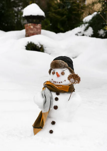 Roztomilý Usměvavý Sněhulák Teplým Kloboukem Dlouhým Šátkem Zimní Zahradě Bavím — Stock fotografie