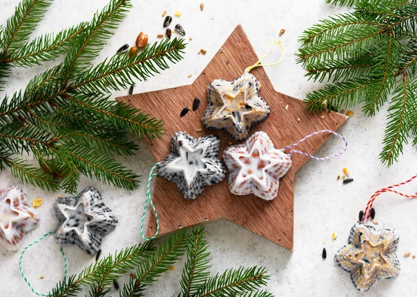 Homemade Star Shaped Christmas Cakes Bird Feeder Peanuts Birdseeds Coconut — Stock Photo, Image