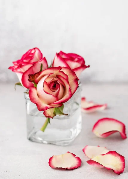 家庭の装飾のためのガラス花瓶にパステルカラーのピンクのバラと花の静物画 最小限の花の概念とミニマリズムの美学 スペースのコピー — ストック写真
