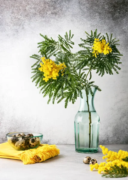 Beautiful bouquet of silver wattle or yellow mimosa flowers in turquoise glass vase and dish with quail eggs. Still life. Easter or home decor concept. Copy space. (Acacia dealbata)