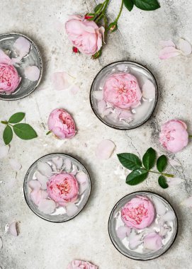 Fresh pink roses and rose petals in the bowls of fragrant water. Spa and cosmetic concept. Top view.