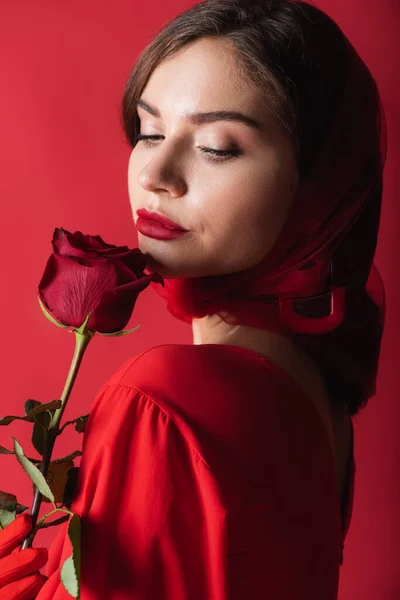Pretty Young Woman Glove Headscarf Holding Rose Isolated Red — Stock Photo, Image