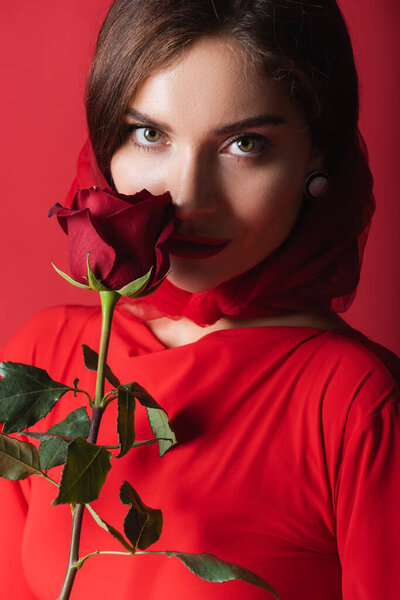 woman in headscarf smelling rose isolated on red