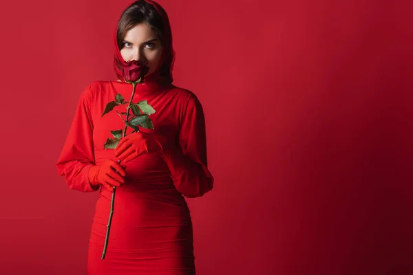 Νεαρή Γυναίκα Φόρεμα Και Γάντια Μυρίζοντας Τριαντάφυλλο Ενώ Κοιτάζοντας Κάμερα — Φωτογραφία Αρχείου